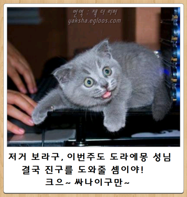 오늘자 최신 보케테(15) | 인스티즈