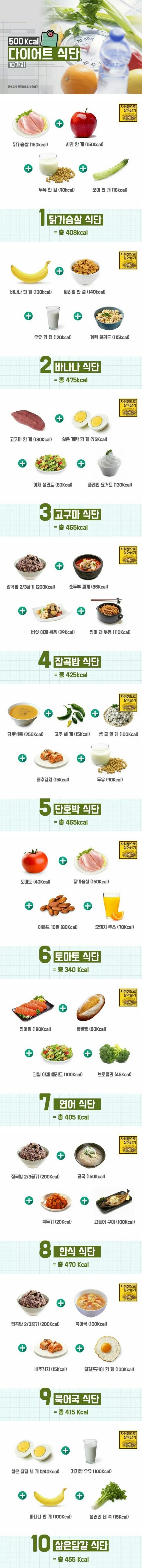 500Kcal 다이어트 식단 10가지 | 인스티즈