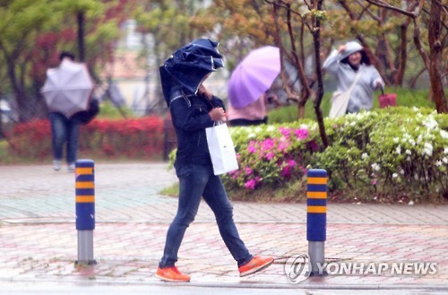 집순이들 행복할때 | 인스티즈