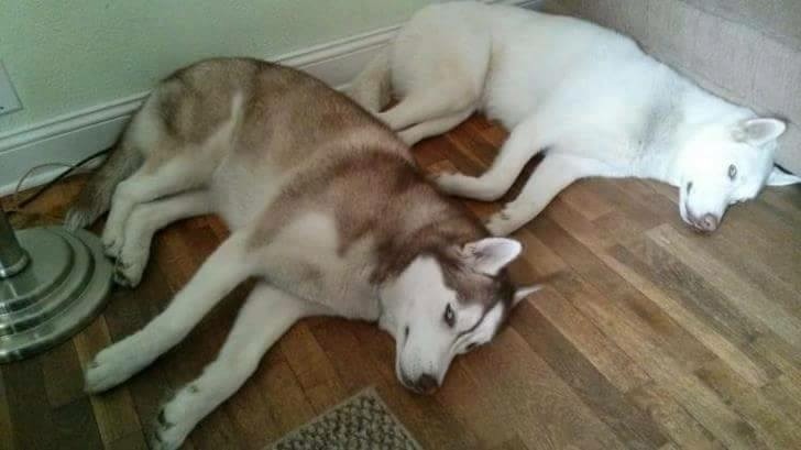 유체이탈 | 인스티즈