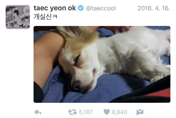 반려동물 사지 않고 입양한 연예인들.jpg | 인스티즈