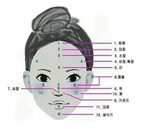 얼굴에 나는 여드름위치로 건강보기 | 인스티즈