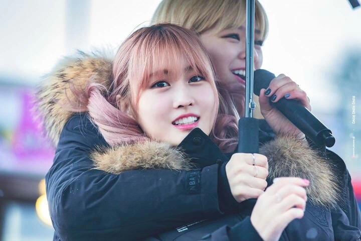 헤어스타일 이미지
