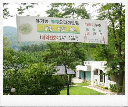 기양초 이미지