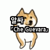 도서관 개념을 모르는건가 jpg | 인스티즈