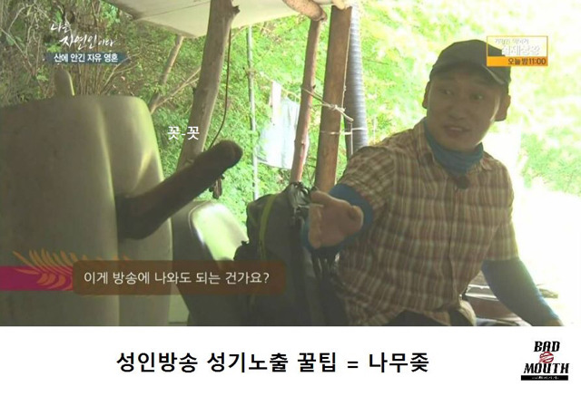 말벌 이후 레전드 경신한 나는 자연인이다 ㅋㅋㅋㅋㅋㅋㅋ | 인스티즈
