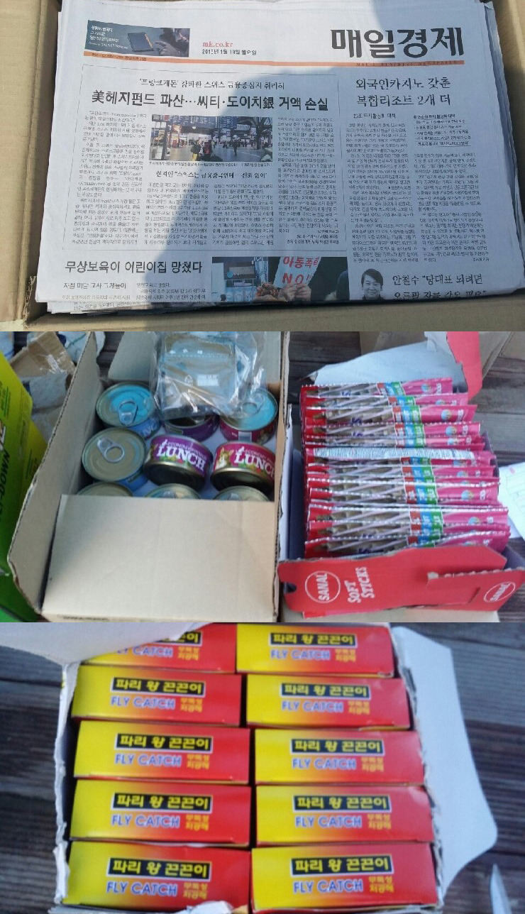 안락사 없는 내사랑바둑이 보호소가 공사비 모금중입니다! 공사비가 부족해서 고양이들이 살 묘사와 주방위생시설을 아직 짓지 못했어요ㅠㅠ(봉사,물품후원가능) | 인스티즈