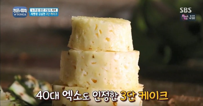 정글에서 생일을 맞은 찬성을 위해 설현이 만든 파인애플 3단케이크.jpg | 인스티즈