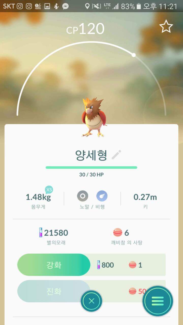 포켓몬고 흔한 포켓몬들의 작명 | 인스티즈