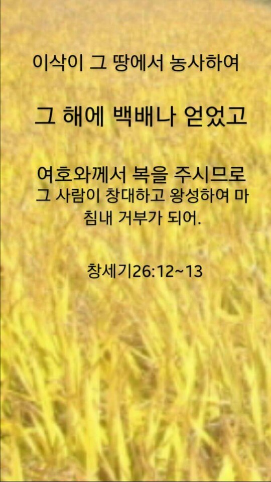 은혜미용실 이미지