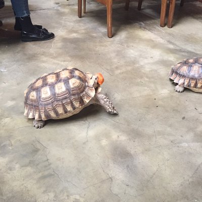 추운날 시간때우기 좋은 데이트장소주관주의 | 인스티즈