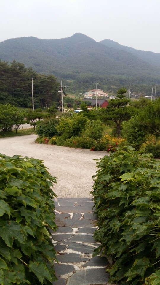 화창한카페 이미지