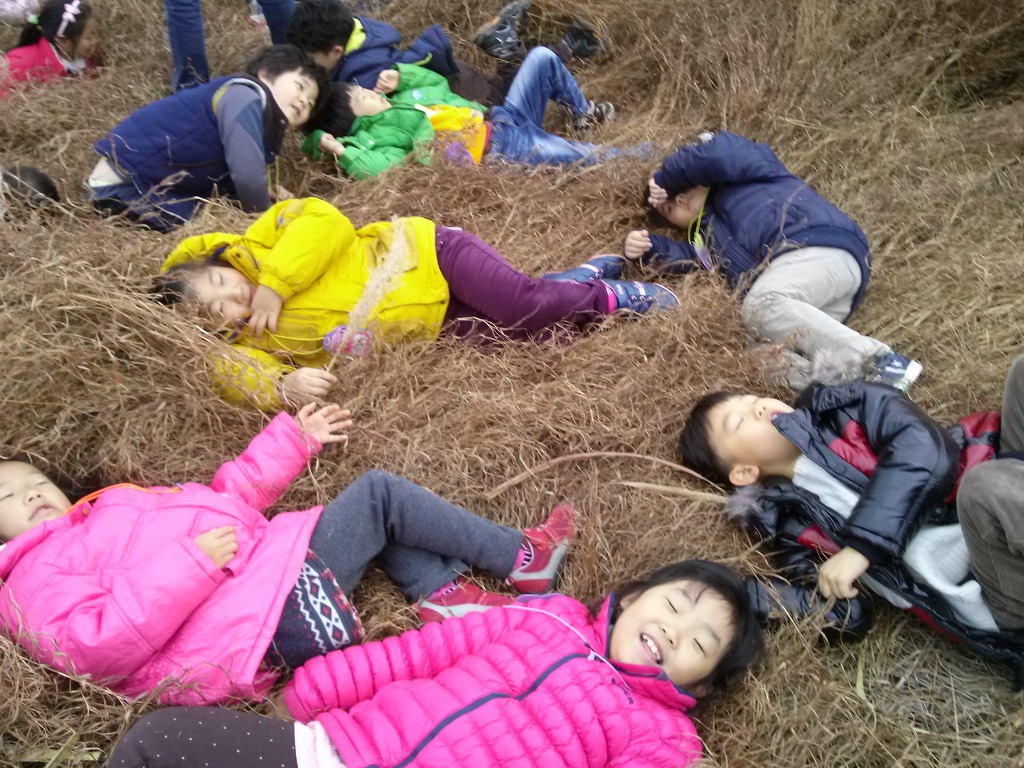 성광어린이집 이미지
