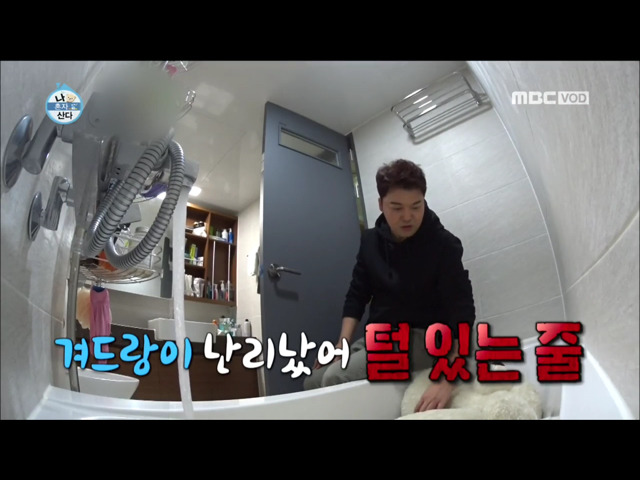전현무의 윌슨 목욕시키기.jpg.gif | 인스티즈