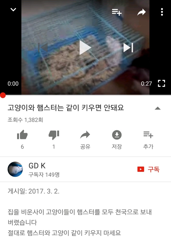 가정집 고양이공장같은 애니머호더 유튜버 봐줘라 | 인스티즈