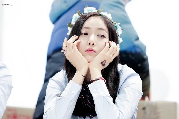 신비양 이미지
