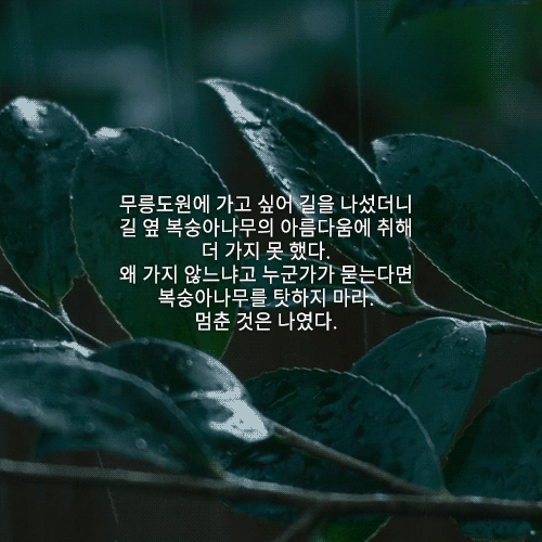 삶에 자극이 되는 일기 명언 | 인스티즈