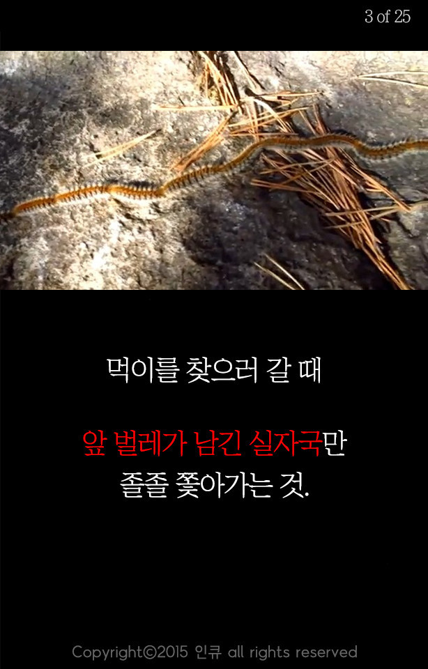 응원받아 마땅한 사람들 | 인스티즈