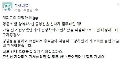 부산 경찰이 급하게 뛰어가는 이유.jpg | 인스티즈