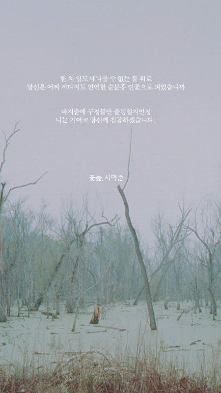 예쁜 시 구절이 적힌 폰배경화면 여덟 번째.jpg | 인스티즈