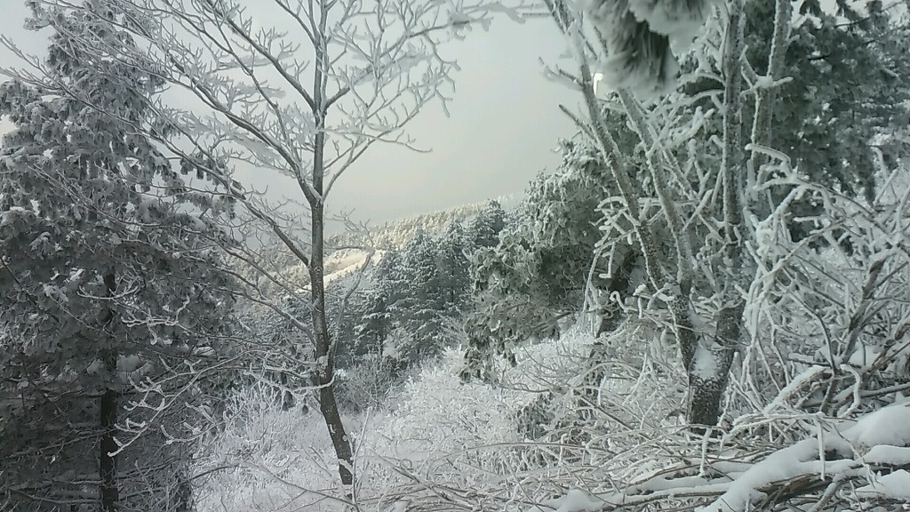 2017년 첫 눈 쌓인 산.jpg | 인스티즈