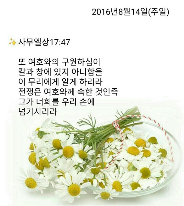 백향 이미지