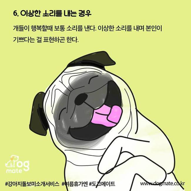 강아지가 이렇게하면 웃고있는 거라는데... | 인스티즈