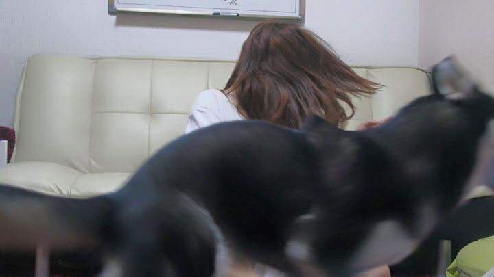 고양이 모자가 부러웠던 여자 | 인스티즈
