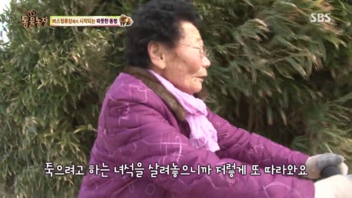 [동물농장] 할머니와 발바리의 따뜻한 우정 | 인스티즈