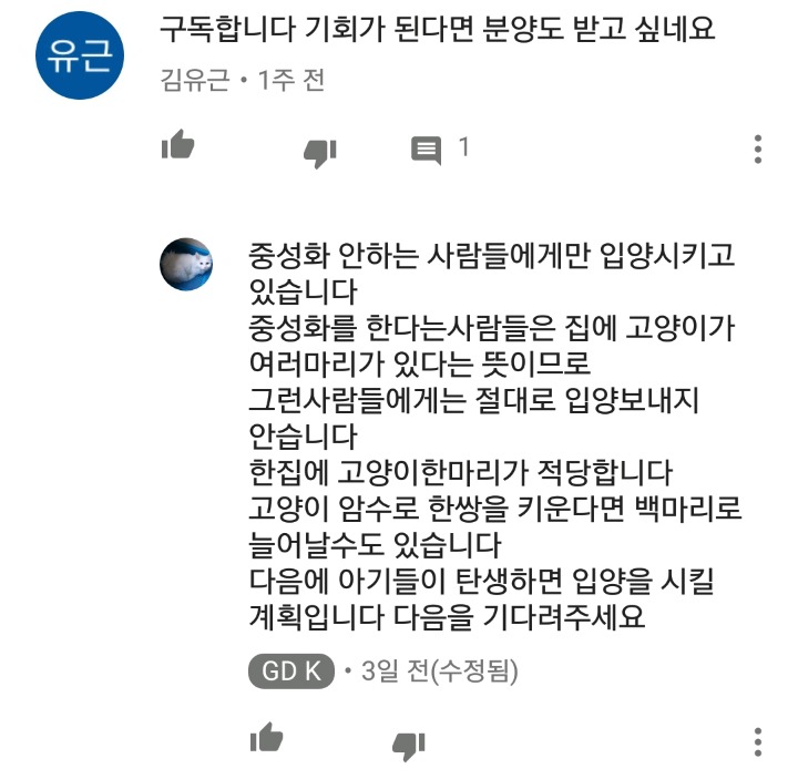 가정집 고양이공장같은 애니머호더 유튜버 봐줘라 | 인스티즈