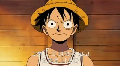 [원피스] 루피가 가장 신뢰하는 동료.jpg | 인스티즈