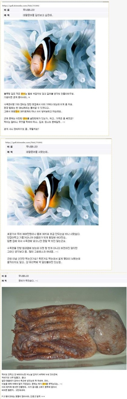 문어가 죽었슴다.. ; | 인스티즈