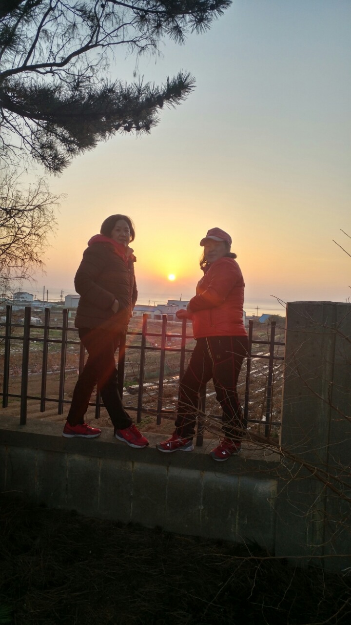 해도지 이미지