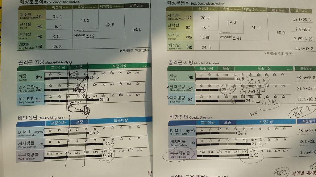 구미피티 이미지