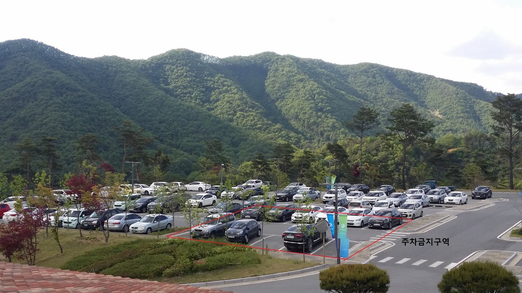 차경원 이미지
