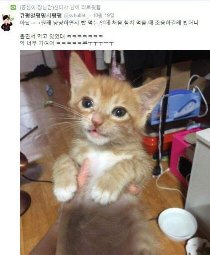우는 애기들.jpg (심쿵주의) | 인스티즈