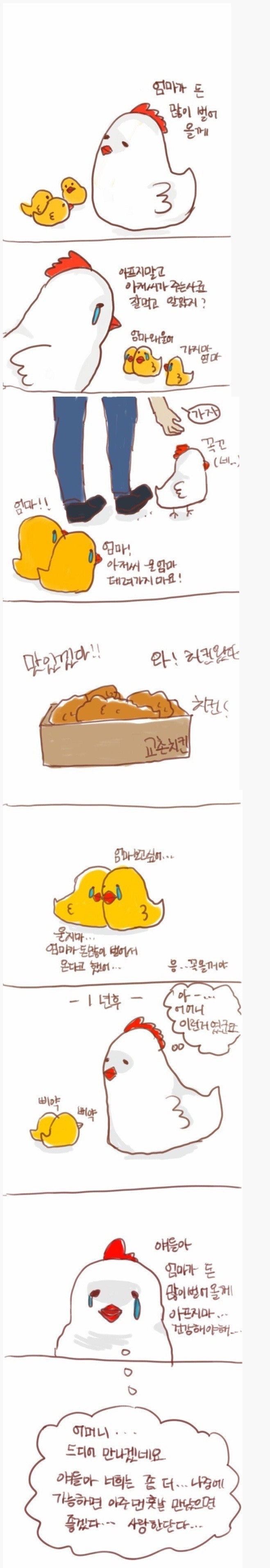 치킨 먹기전에 보는 만화 | 인스티즈