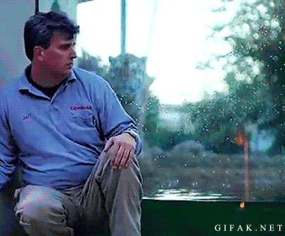 쳐다보기만해도 시름시름 앓다 죽었다는 호랑이의 안광.jpgif | 인스티즈