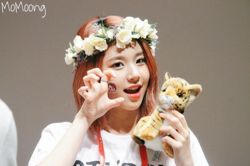 손채영.gif+jyp (데이터주의) | 인스티즈