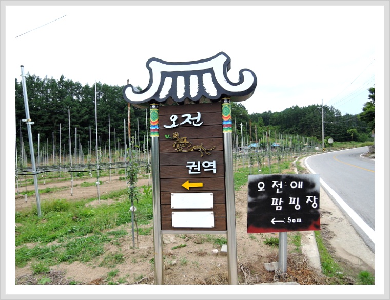 오전애권역 이미지