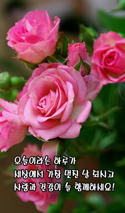 멋진하루 이미지