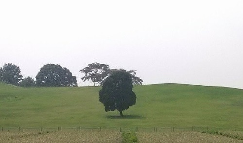  서울 사람도 모르는 서울의 숨겨진 장소들 | 인스티즈