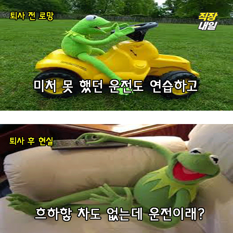 직장인 개구리가 퇴사를 해보았다(팩트폭행 주의) | 인스티즈