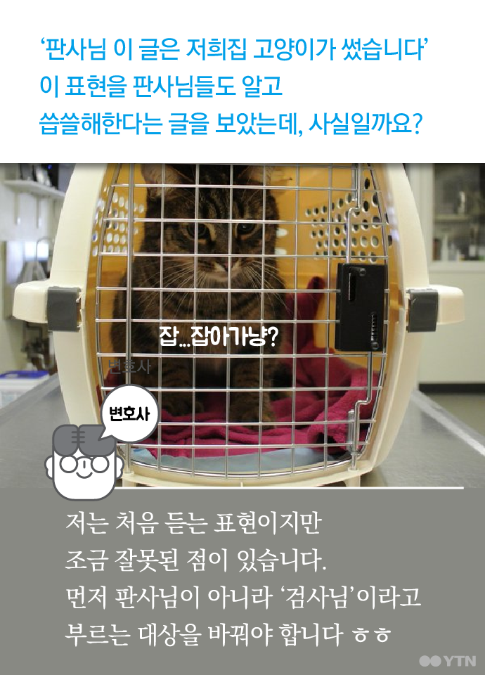 판사님 이 글은 제 고양이가 썼습니다 | 인스티즈