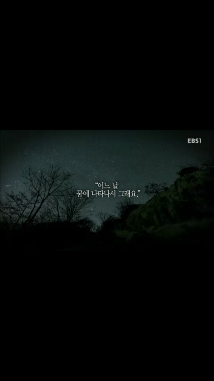 [[세월호]] [[[눈물주의]] ] 엄마, 내 친구들은 참 멋진 녀석들이에요 | 인스티즈