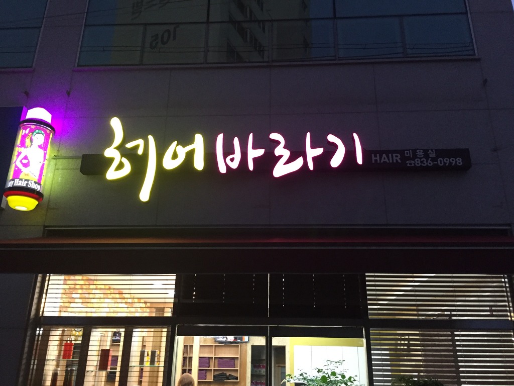 헤어바라기 이미지