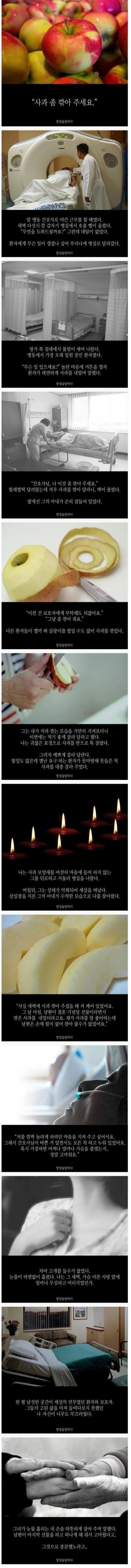 간호사의 사과 | 인스티즈