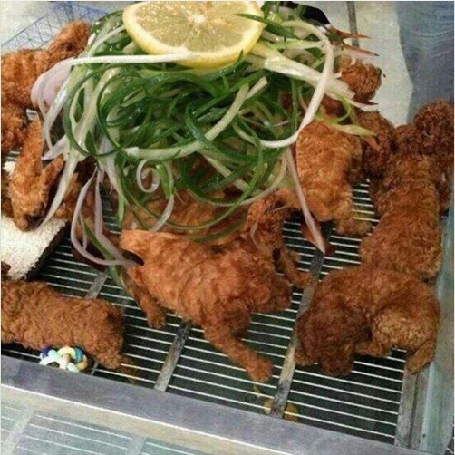 야심한 밤에 올리는 치느님 사진들 | 인스티즈
