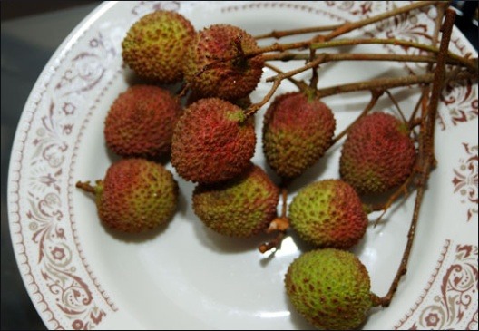 리치 이미지