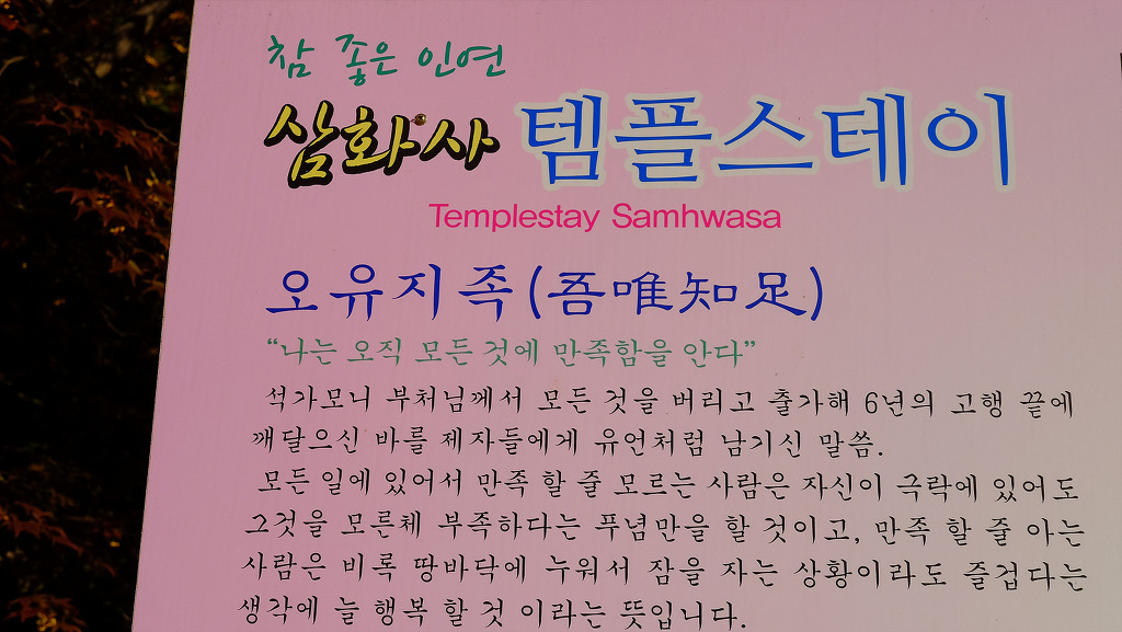 스테이인연 이미지